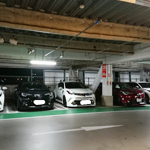 C-HR ZYX10