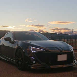 86 ZN6
