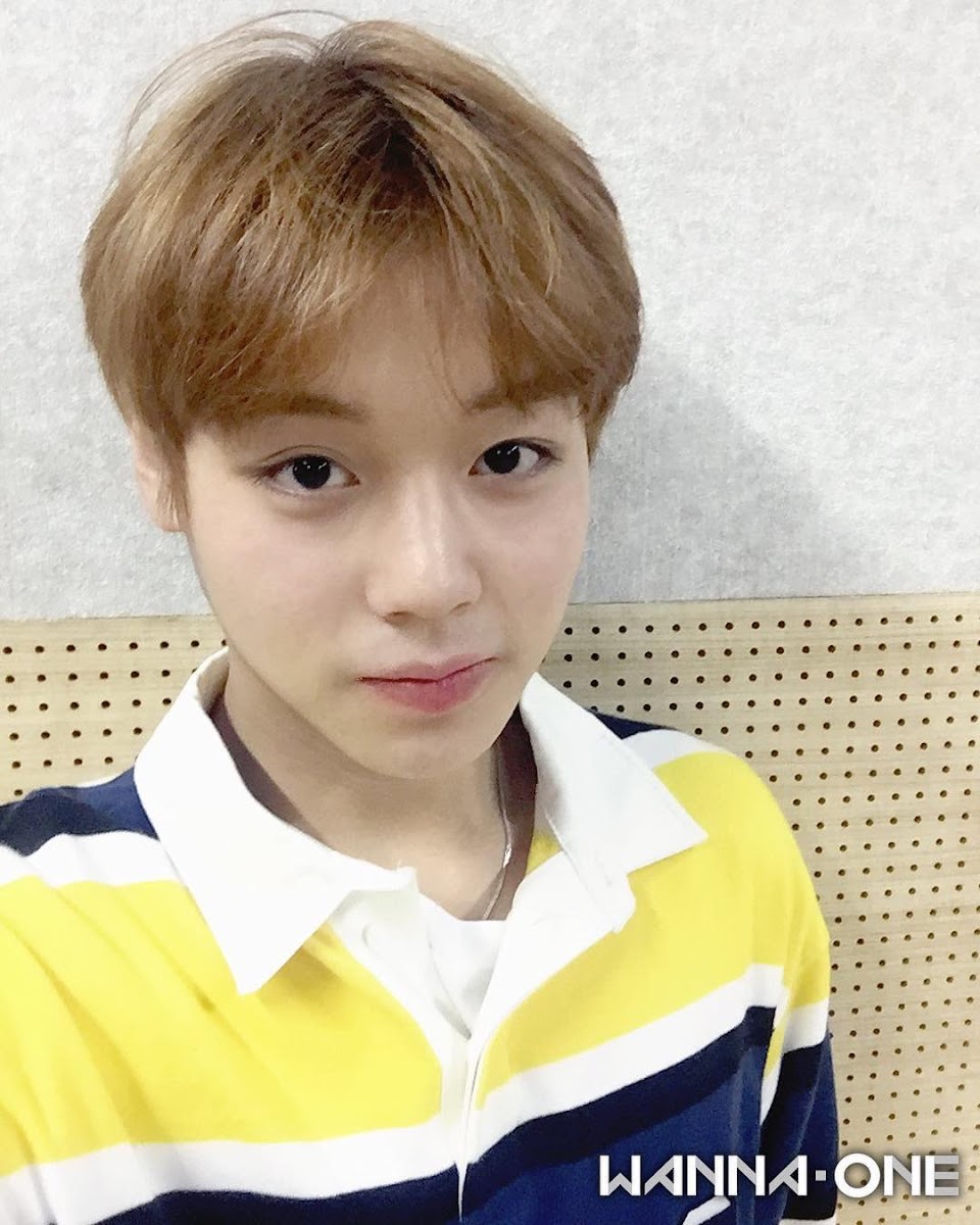 Here’s How Each Member Of WANNA ONE Looks Without Makeup