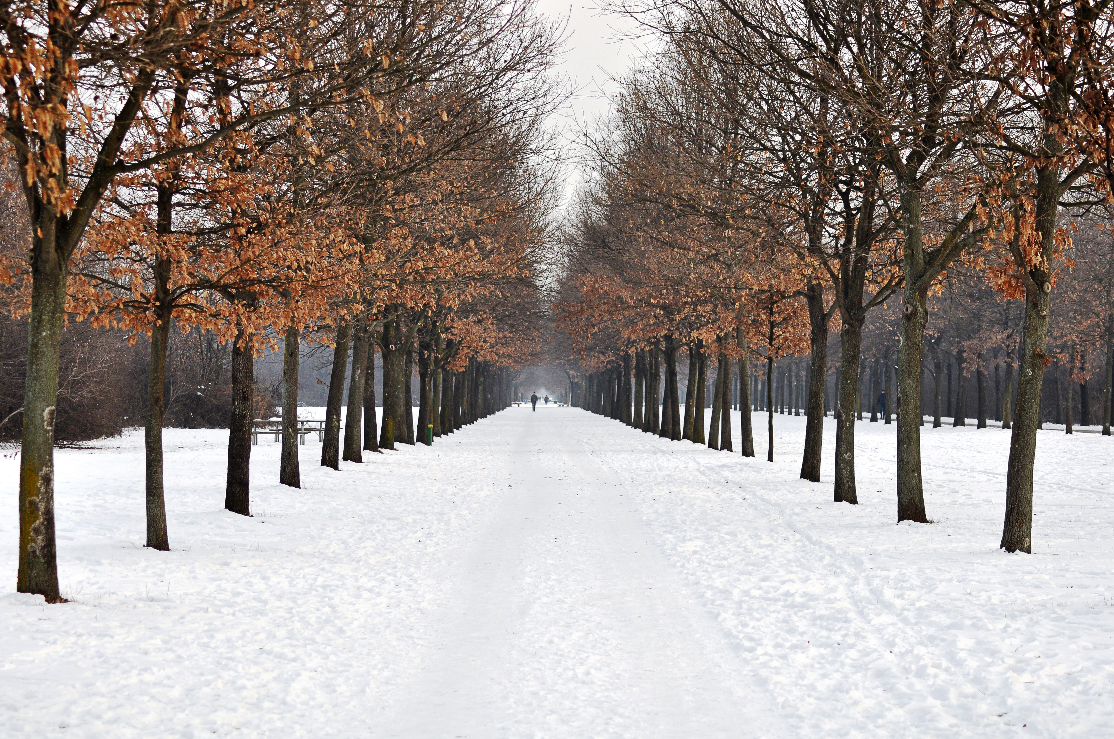 Passeggiata al parco di gianfranco_cosmai