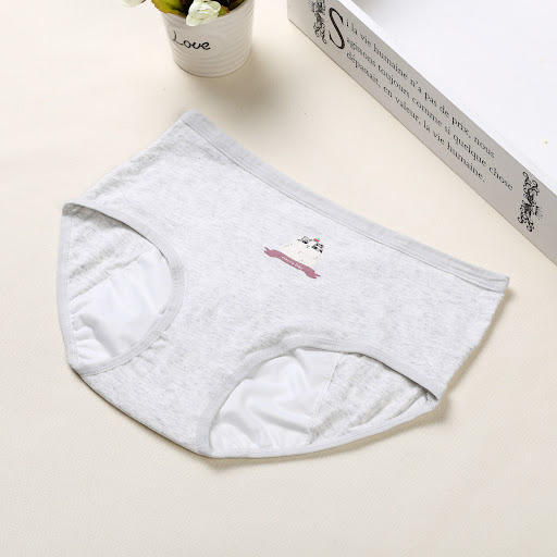 Title 3, Anti-Leakage High-Waist Cotton Sanitary Briefs ...