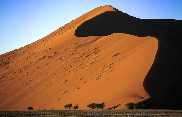 Namib di codadilupo