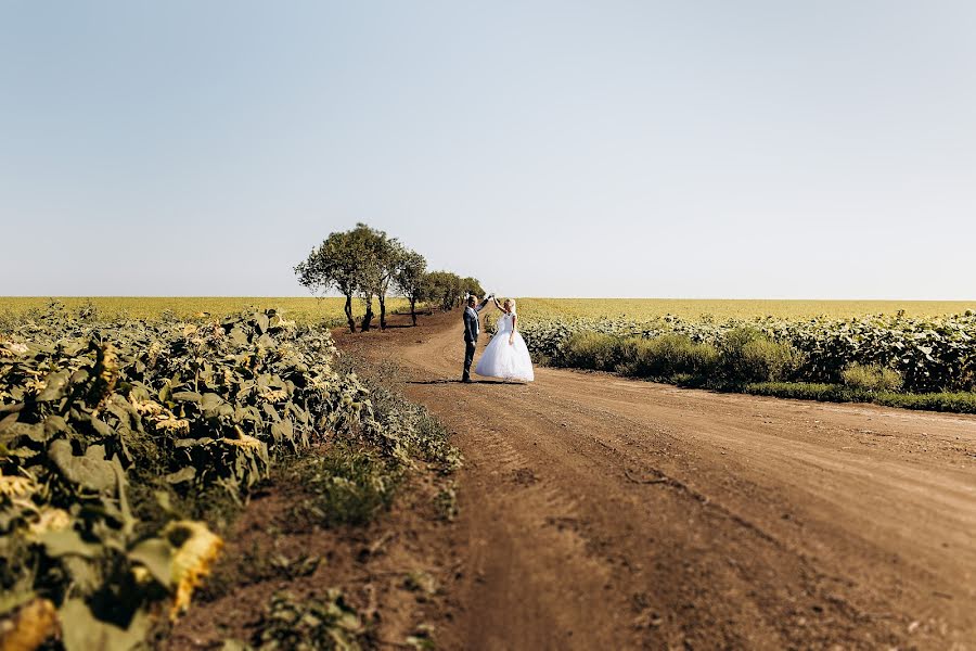 Fotógrafo de casamento Viktoriya Kozachenko (evavanger). Foto de 13 de agosto 2018