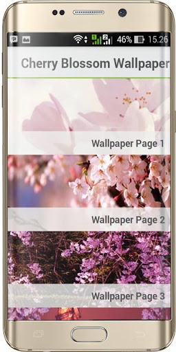 Cherry Blossom Wallpaper