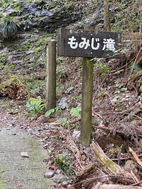 の投稿画像15枚目