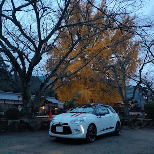 DS3 カブリオ A5CHN01