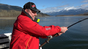 Fraser River Sturgeon thumbnail