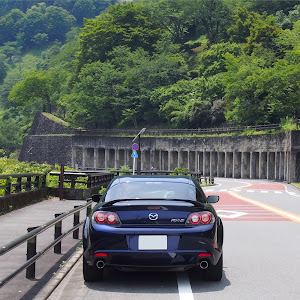 RX-8 SE3P