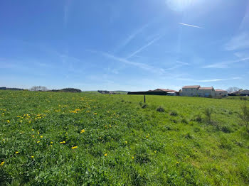 terrain à Saint-Just-Malmont (43)