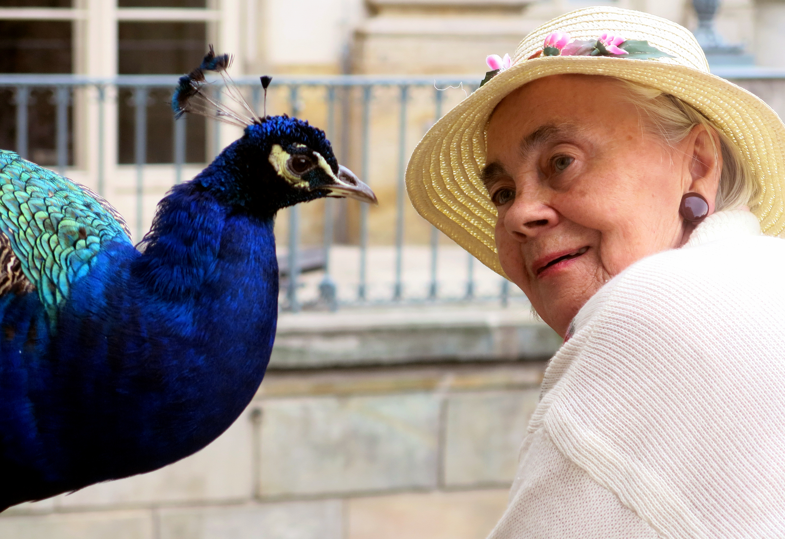 La donna e il suo pavone di BlueBetty