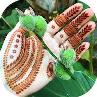 اجمل نقوش حناء