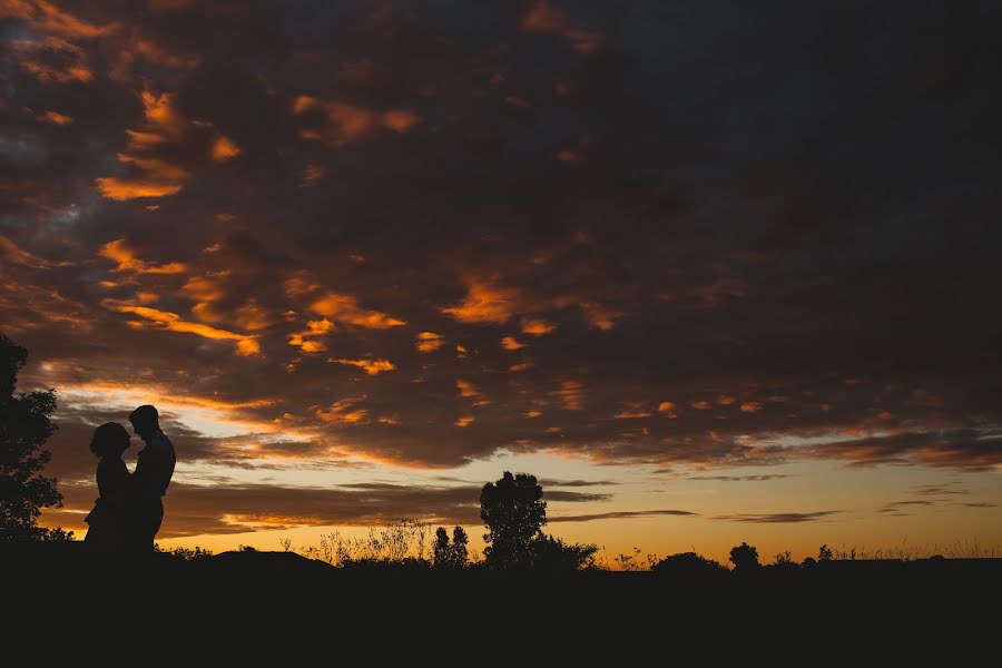 Hochzeitsfotograf Shayne Bampton (sbimages). Foto vom 31. Oktober 2015