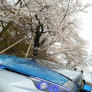 エスティマ ACR55W