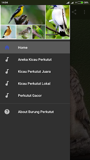Suara Burung Perkutut Lokal Mp3 1 0 Apk Download Com Andromo