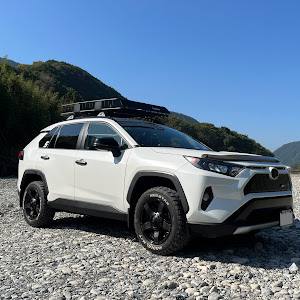 RAV4 MXAA54