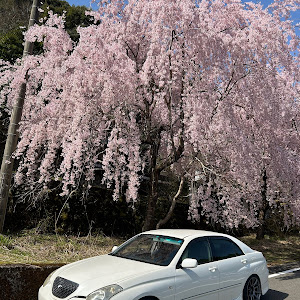 ヴェロッサ JZX110