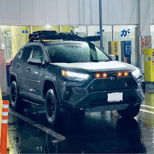 RAV4 MXAA54