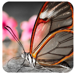 Cover Image of डाउनलोड Butterfly Dream Wallpaper 1.0 APK