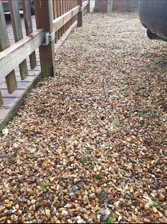 Hedge trim and tidy up album cover