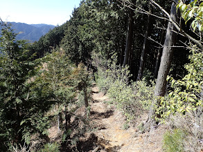 巡視路を進む