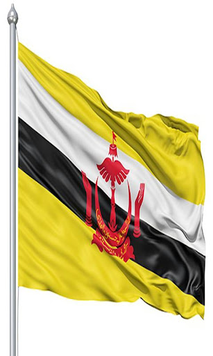 Brunei Flag