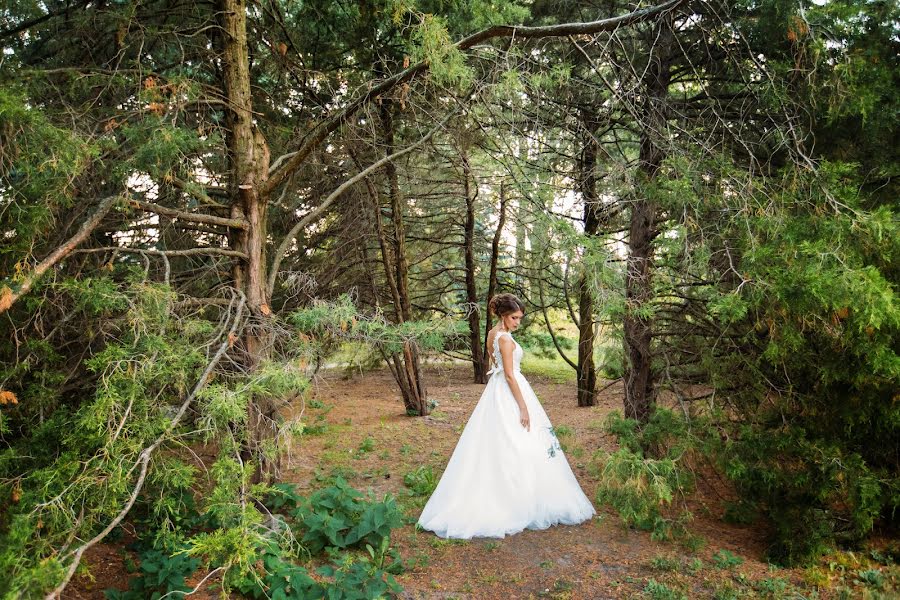 Fotógrafo de bodas Alena Maksimchuk (alenmax). Foto del 11 de noviembre 2017