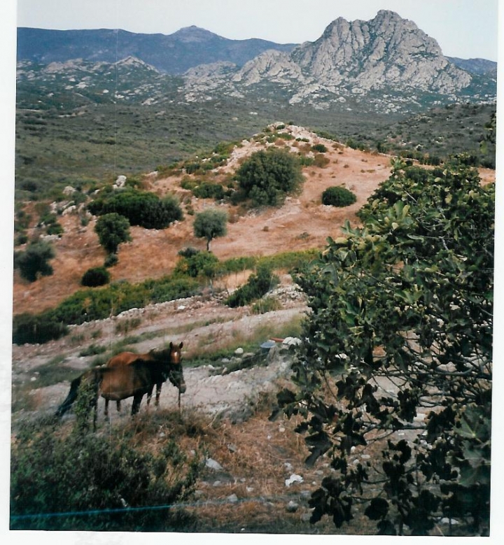 Deserto di ildarita