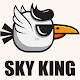 Download Sky King For PC Windows and Mac 1.0