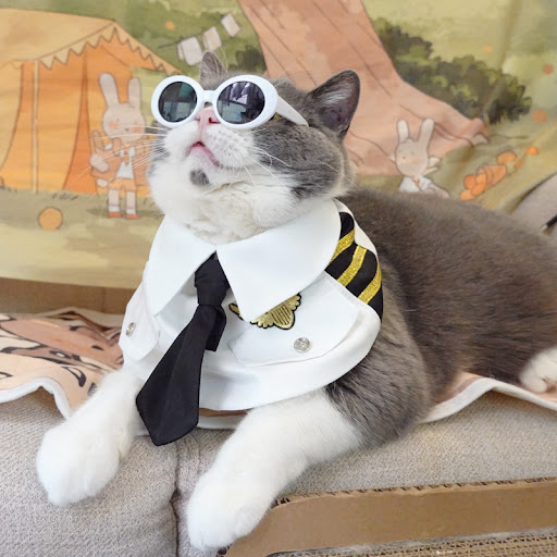 Title 5, Pet Cat Neck Handsome Air Junior Uniform