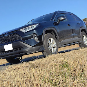 RAV4 MXAA52