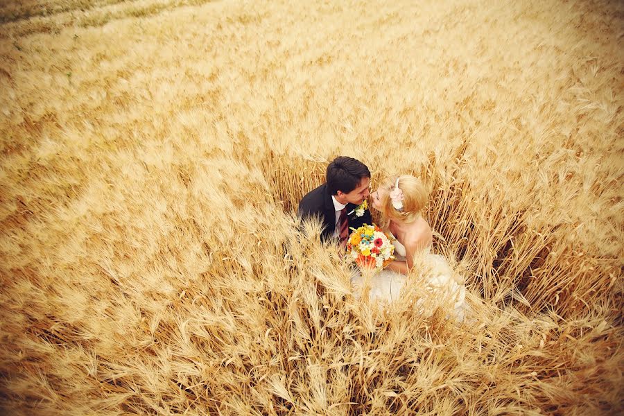 Vestuvių fotografas Dmitriy Demskoy (kurnyavko). Nuotrauka 2013 birželio 6