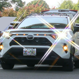 RAV4 AXAH52