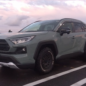 RAV4 MXAA54