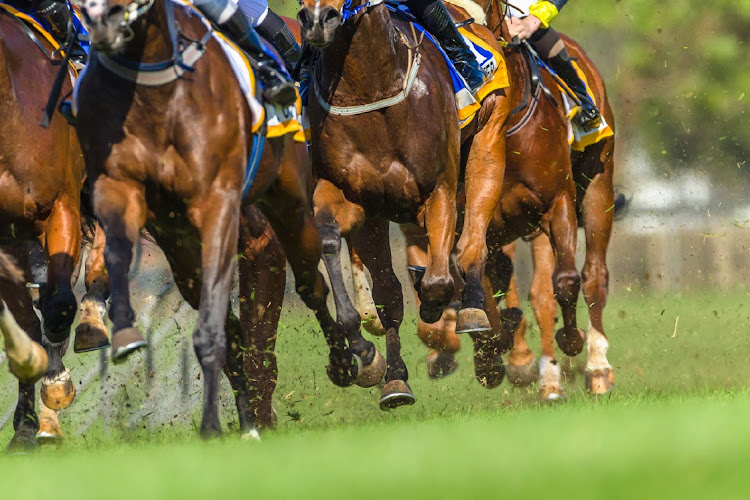 The Durban July will be sponsored by Hollywoodbets. Stock photo.