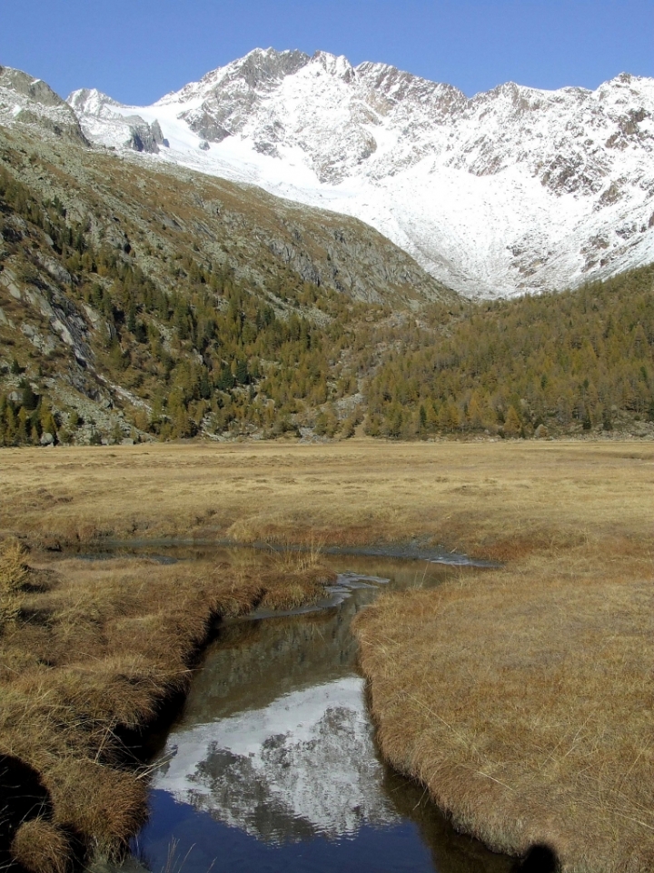 La montagna nel torrente di Simona Rizzi