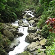 【苗栗】春谷養鱒休閒農場