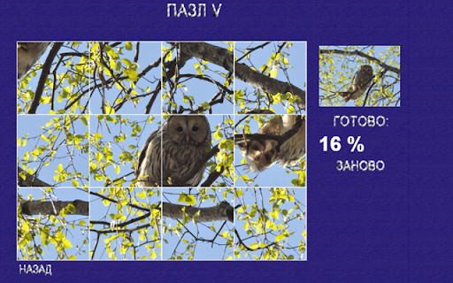 Болотная сова - пазлы
