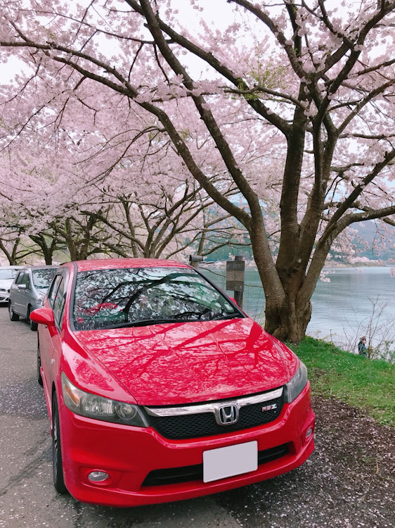 ストリームの桜・お花見に関するカスタム事例の投稿画像1枚目