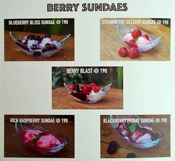 Berrylicious menu 