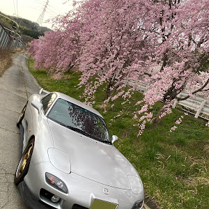 RX-7 FD3S