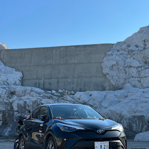 C-HR ZYX11