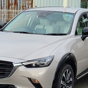 CX-3 DKLFW