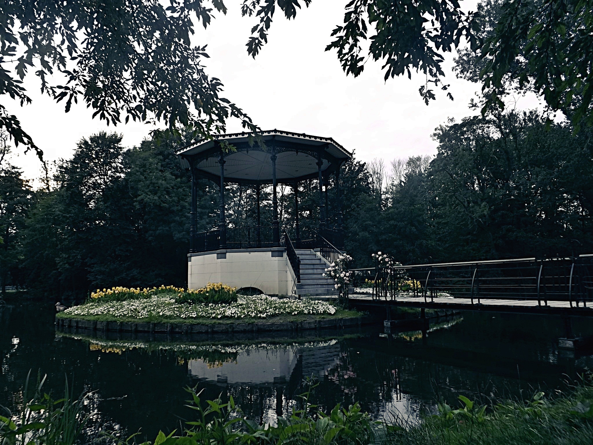 vondelpark amsterdam di manuelavignato