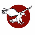 Logo of Lone Eagle Maiden Flight