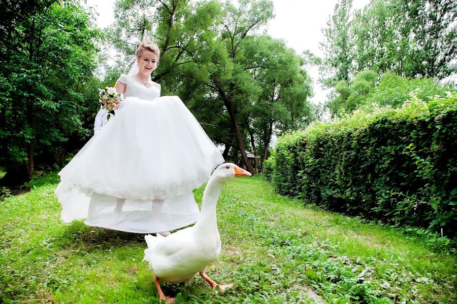 Fotógrafo de casamento Darya Plotnikova (fotodany). Foto de 26 de setembro 2017