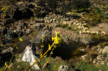 Fotógrafo de casamento Eliseo Regidor (eliseoregidor). Foto de 1 de outubro 2016