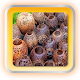 Download Coconut Shell Crafts For PC Windows and Mac 2.0