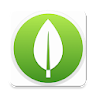 MongoDB Database icon