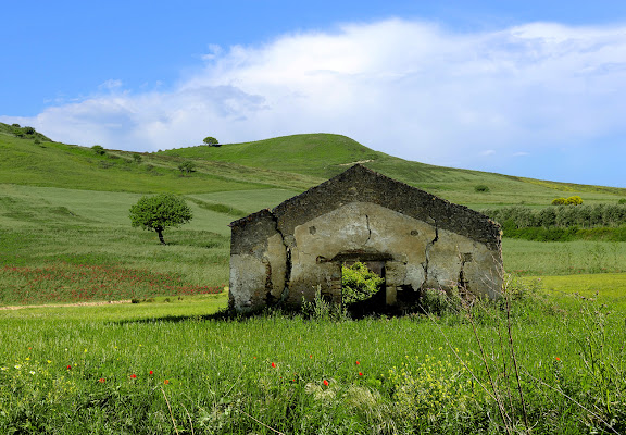 Abbandonata nel verde..... di leonardo valeriano