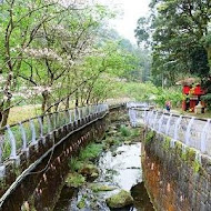 陽明山平菁街橘咖啡